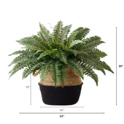Arrangements & Greenery>Kirklands Home Boston Fern Arrangement in Woven Basket DIY Kit