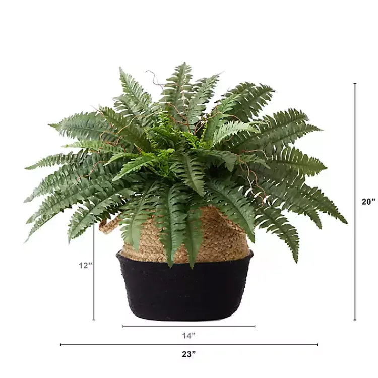 Arrangements & Greenery>Kirklands Home Boston Fern Arrangement in Woven Basket DIY Kit