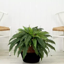 Arrangements & Greenery><noscript><img width=