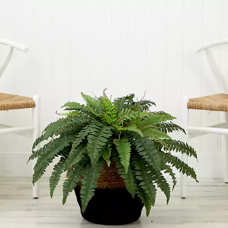 Arrangements & Greenery>Kirklands Home Boston Fern Arrangement in Woven Basket DIY Kit