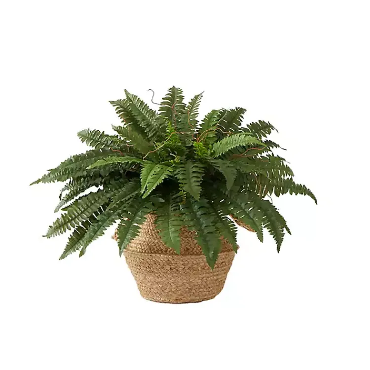 Arrangements & Greenery>Kirklands Home Boston Fern Arrangement in Brown Basket DIY Kit