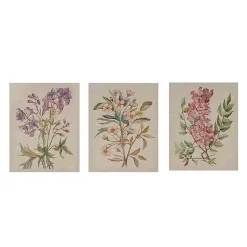 Kirklands Home Botanical Linen Art Prints, Set of 3 Multi