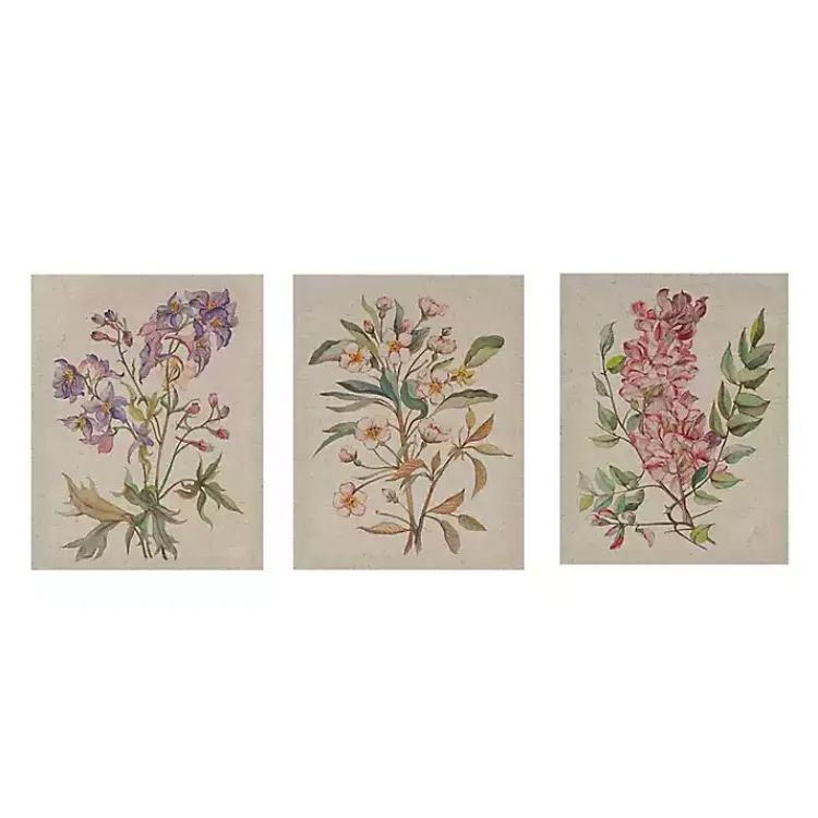 Kirklands Home Botanical Linen Art Prints, Set of 3 Multi