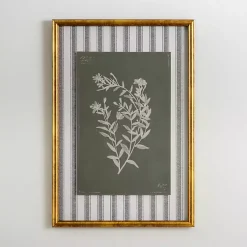 Kirklands Home Botanical Stripes II Framed Art Print Online