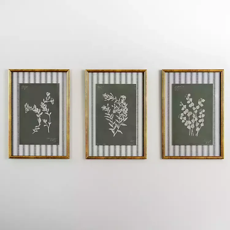 Kirklands Home Botanical Stripes III Framed Art Print Sale