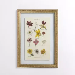 Kirklands Home Botany Gold Framed Art Print Clearance