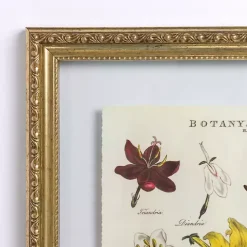 Kirklands Home Botany Gold Framed Art Print Clearance