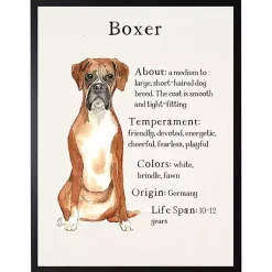 Kirklands Home Boxer Facts Framed Wall Plaque White Sale