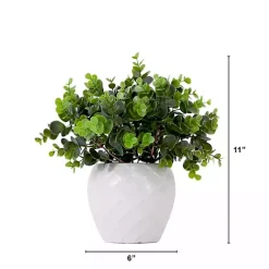 Arrangements & Greenery>Kirklands Home Boxwood Arrangement in White Planter
