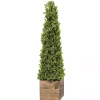 Trees & Topiaries>Kirklands Home Boxwood Obelisk in Wood Planter, 36 in.