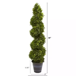 Trees & Topiaries><noscript><img width=
