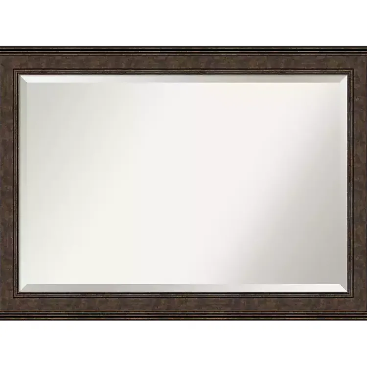 Kirklands Home Bronze Panel Frame Beveled Mirror