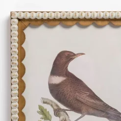 Kirklands Home Brown Birds Scalloped Framed Art Print Online