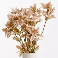 Stems & Bouquets>Kirklands Home Cymbidium Stems, Set of 3 Brown