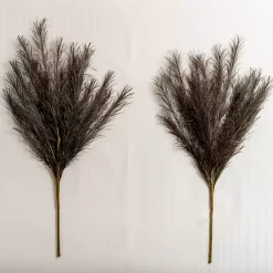 Christmas Arrangements & Garland>Kirklands Home Glittered Pampas Stems, Set of 2 Brown
