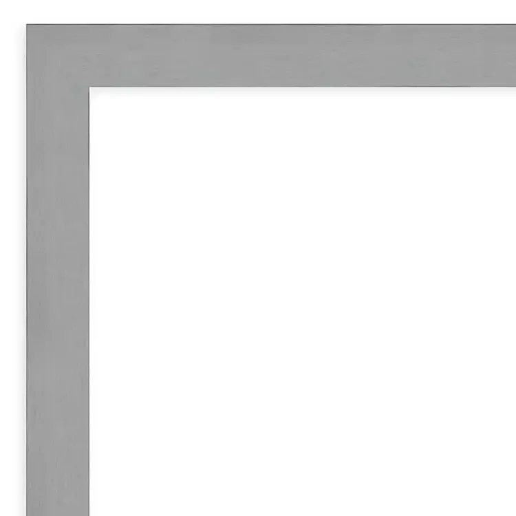 Kirklands Home Brushed Metallic Silver Frame Beveled Mirror Hot