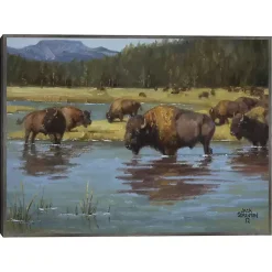 Kirklands Home Buffalo Crossing Framed Canvas Art Print Multi Sale