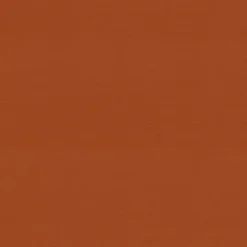 Kirklands Home Burnt Outdoor Settee Cushion Orange Best