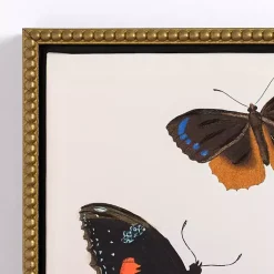 Kirklands Home Butterfly Swarm Framed Canvas Art Prints, Set of 3 Multi Online