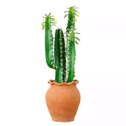 Arrangements & Greenery>Kirklands Home Cactus in Terracotta Planter Green