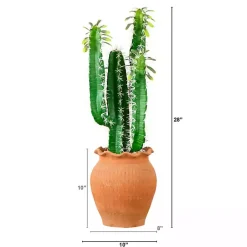 Arrangements & Greenery>Kirklands Home Cactus in Terracotta Planter Green