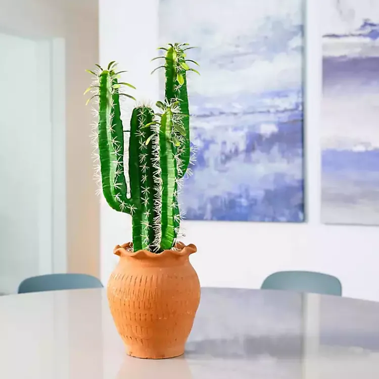 Arrangements & Greenery>Kirklands Home Cactus in Terracotta Planter Green