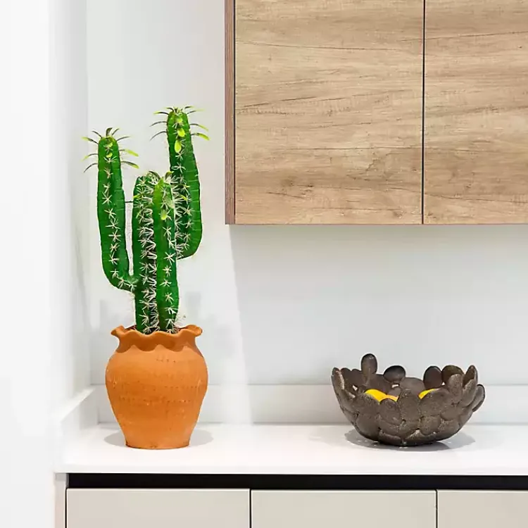 Arrangements & Greenery>Kirklands Home Cactus in Terracotta Planter Green