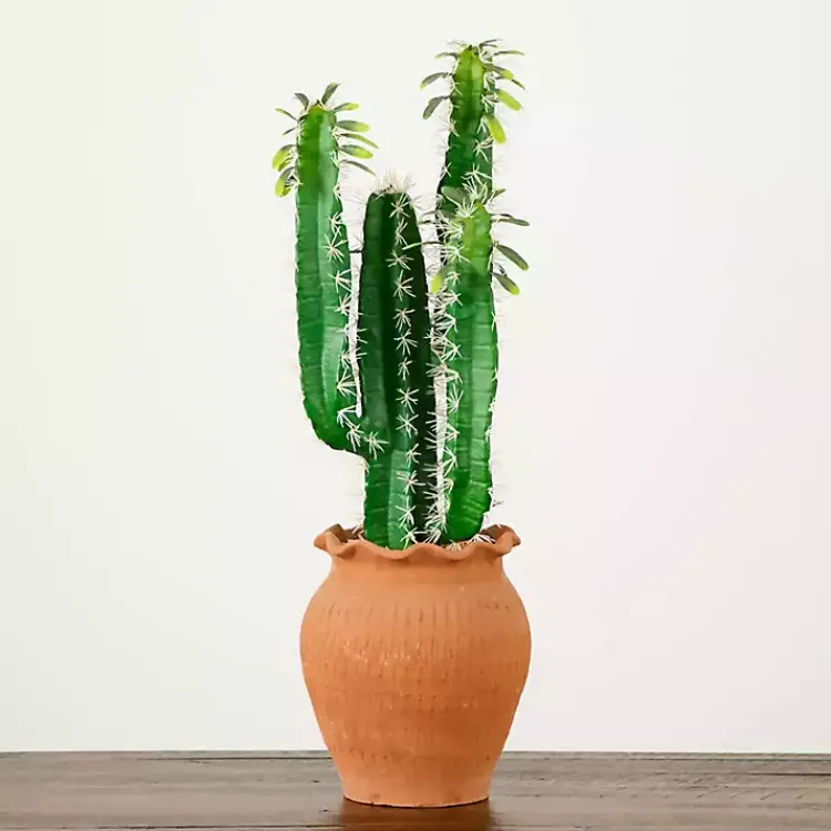 Arrangements & Greenery>Kirklands Home Cactus in Terracotta Planter Green