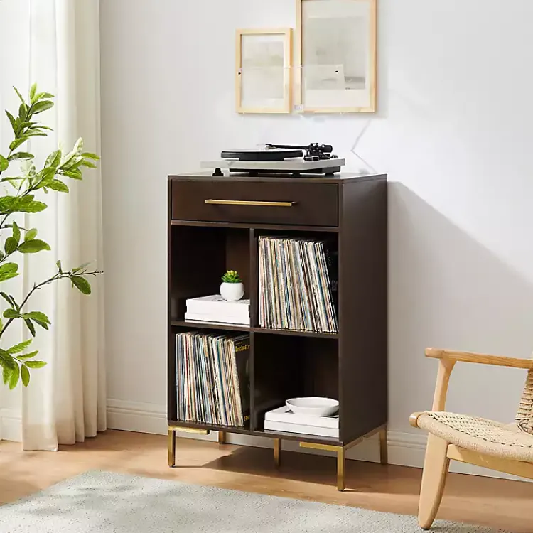 Kirklands Home Cadence Gold Record Storage Bookcase New