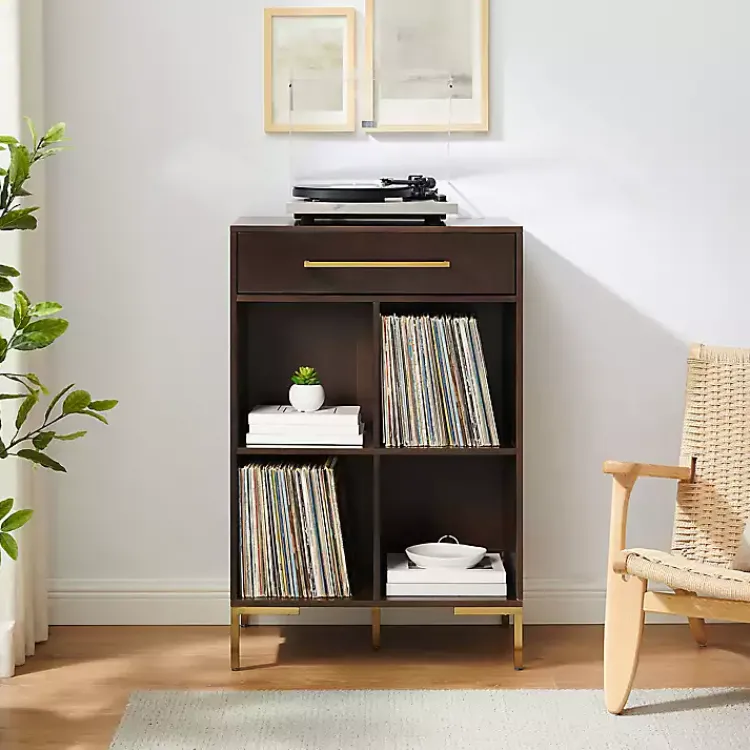 Kirklands Home Cadence Gold Record Storage Bookcase New