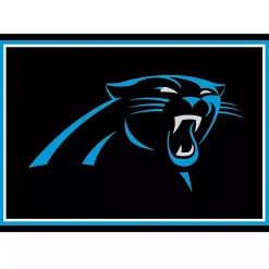 Kirklands Home Carolina Panthers Area Rug, 3x4 Black Sale
