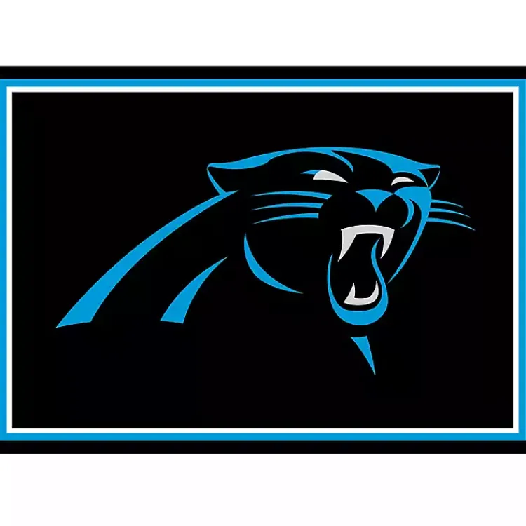 Kirklands Home Carolina Panthers Area Rug, 3x4 Black Sale