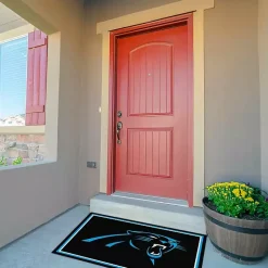 Kirklands Home Carolina Panthers Area Rug, 3x4 Black Sale
