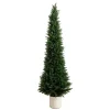 Trees & Topiaries>Kirklands Home Cedar Tree in White Pot, 6 ft.