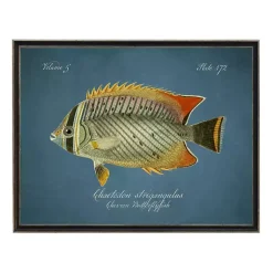 Kirklands Home Chevron Butterflyfish Framed Wall Art Blue Discount