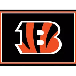 Kirklands Home Cincinnati Bengals Area Rug, 3x4 Black Outlet