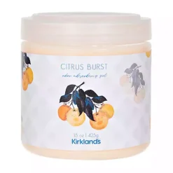 Home Fragrance>Kirklands Home Citrus Burst Odor Absorber Orange