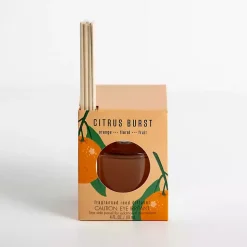 Home Fragrance>Kirklands Home Citrus Burst Reed Diffuser Set Orange