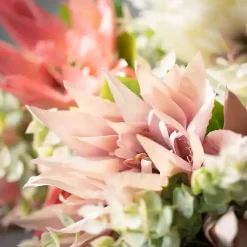 Stems & Bouquets>Kirklands Home Colorful Lotus Flower Bundles, Set of 3