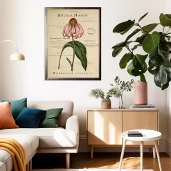 Kirklands Home Coneflower Botanical Magazine Framed Art Print Multi Discount