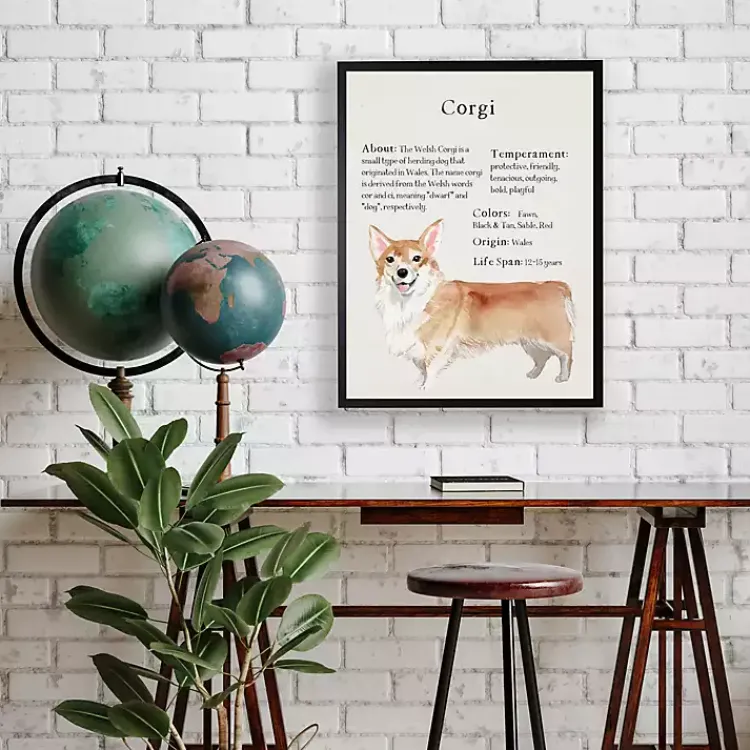 Kirklands Home Corgi Facts Framed Wall Plaque White Best
