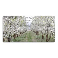 Kirklands Home Countryside Path Canvas Art Print Sale