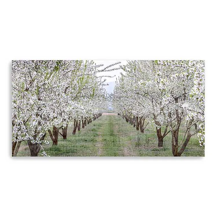 Kirklands Home Countryside Path Canvas Art Print Sale