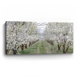 Kirklands Home Countryside Path Canvas Art Print Sale
