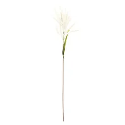 Stems & Bouquets>Kirklands Home Cream Astible Stems, Set of 6 White