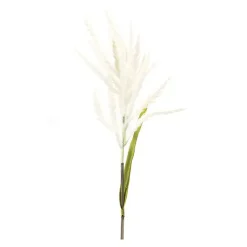 Stems & Bouquets>Kirklands Home Cream Astible Stems, Set of 6 White
