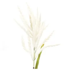 Stems & Bouquets><noscript><img width=