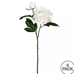 Stems & Bouquets>Kirklands Home Cream Blooming Peony Stems, Set of 6 Ivory