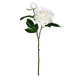 Stems & Bouquets>Kirklands Home Cream Blooming Peony Stems, Set of 6 Ivory
