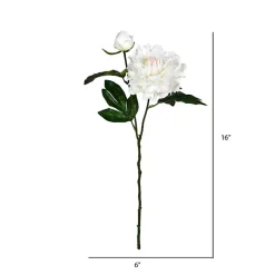 Stems & Bouquets><noscript><img width=
